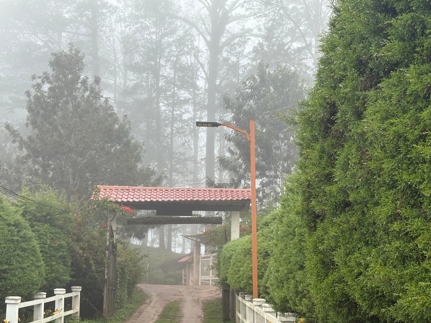 Finca La Concepción | Honey Processed Marcala Blend