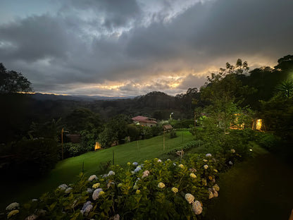 Finca La Concepción | Honey Processed Marcala Blend