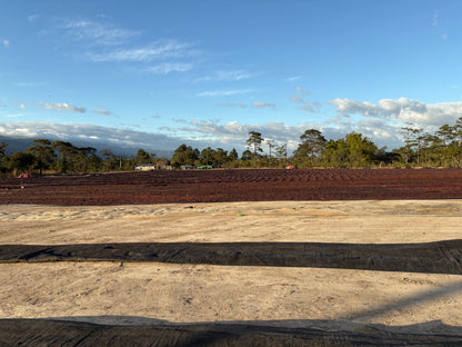 Finca Cual Bicicleta | Washed Parainema