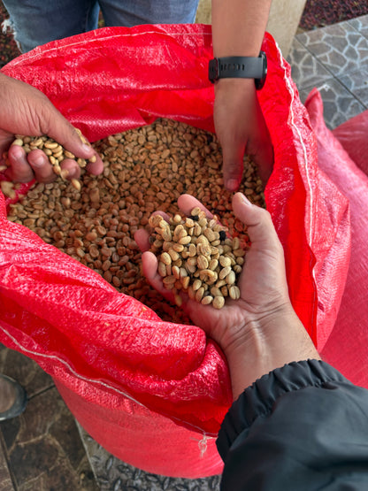 Finca Cual Bicicleta | Washed Parainema