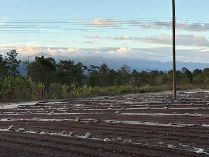 Finca Cual Bicicleta | Washed Parainema