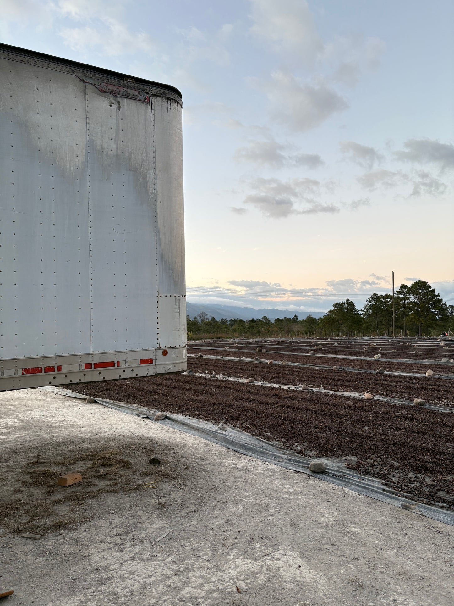 Finca Cual Bicicleta | Washed Parainema